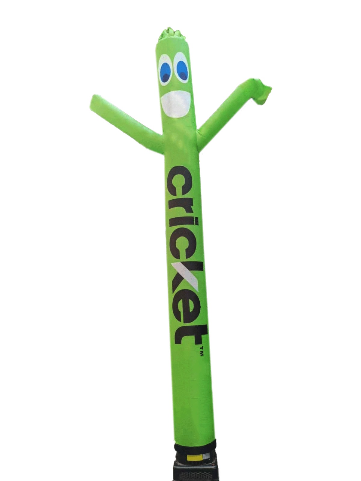 20 ft Cricket Dancing Inflatable Balloon with double side printed