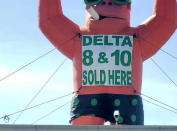 Smoke Shop Giant Inflatable Gorilla