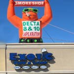 Giant Inflatable Gorilla