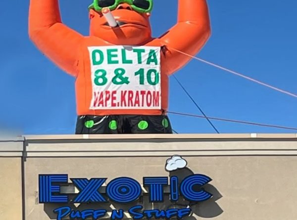 Giant Inflatable Gorilla