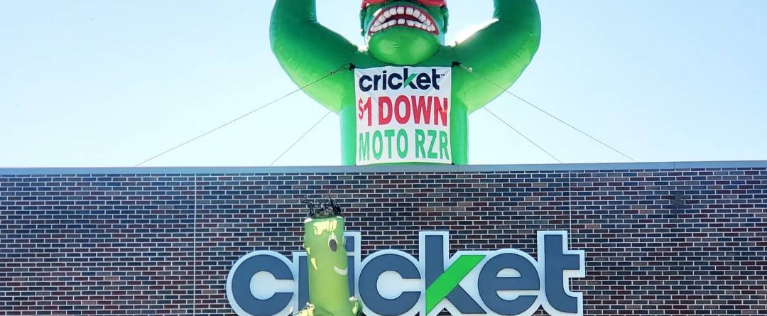 Cricket Roof Top Balloon