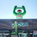 Cricket Roof Top Balloon