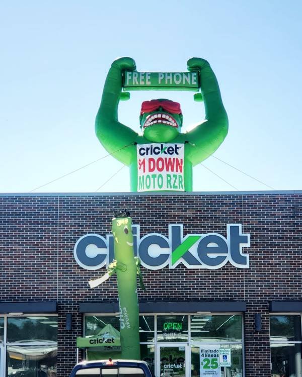 Cricket Roof Top Balloon